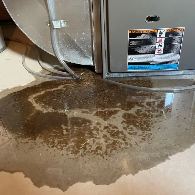 Pipe Burst and Leak Restoration in Baxter Estates, NY